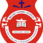 Mount Carmel School Aizawl logo