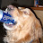 @meh-s8m's avatar