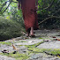 sMgYKwfmadg-channel-avatar-Nissarana Vanaya