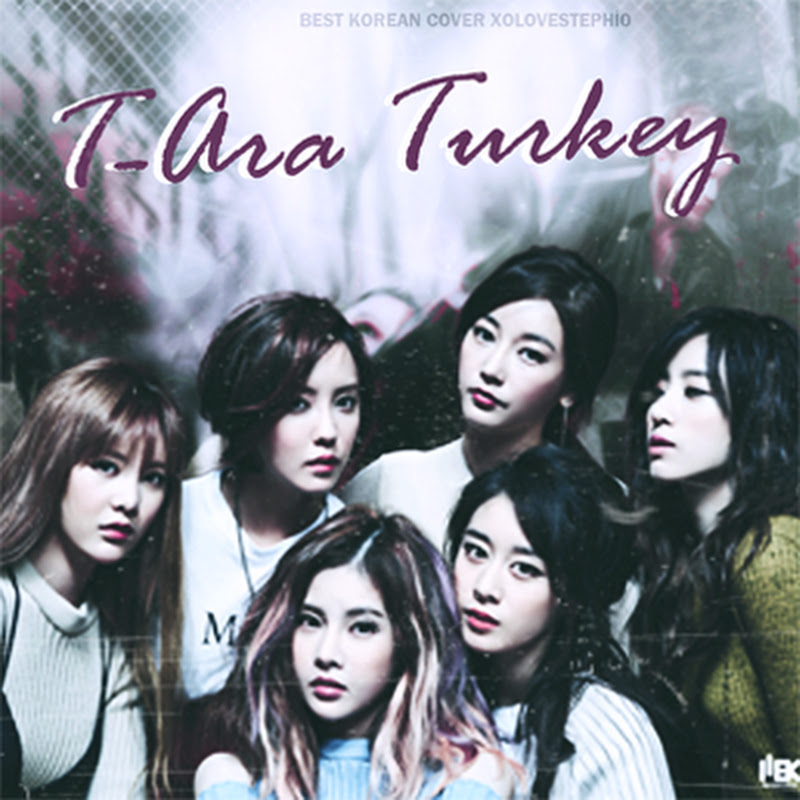 T-ara 티아라 Turkey 2