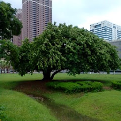 徐永禮アイコン画像