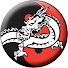 PjVNwTNfZxk-channel-avatar-Dragão Chinês Kung Fu