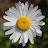@ivancicamajdandzic4420's avatar