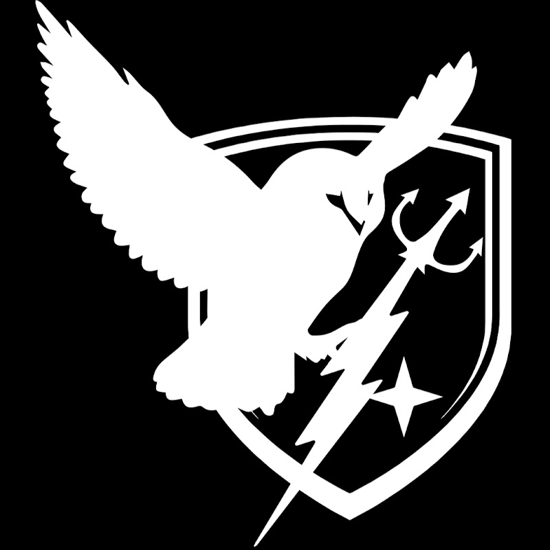 Defense Strategies Group