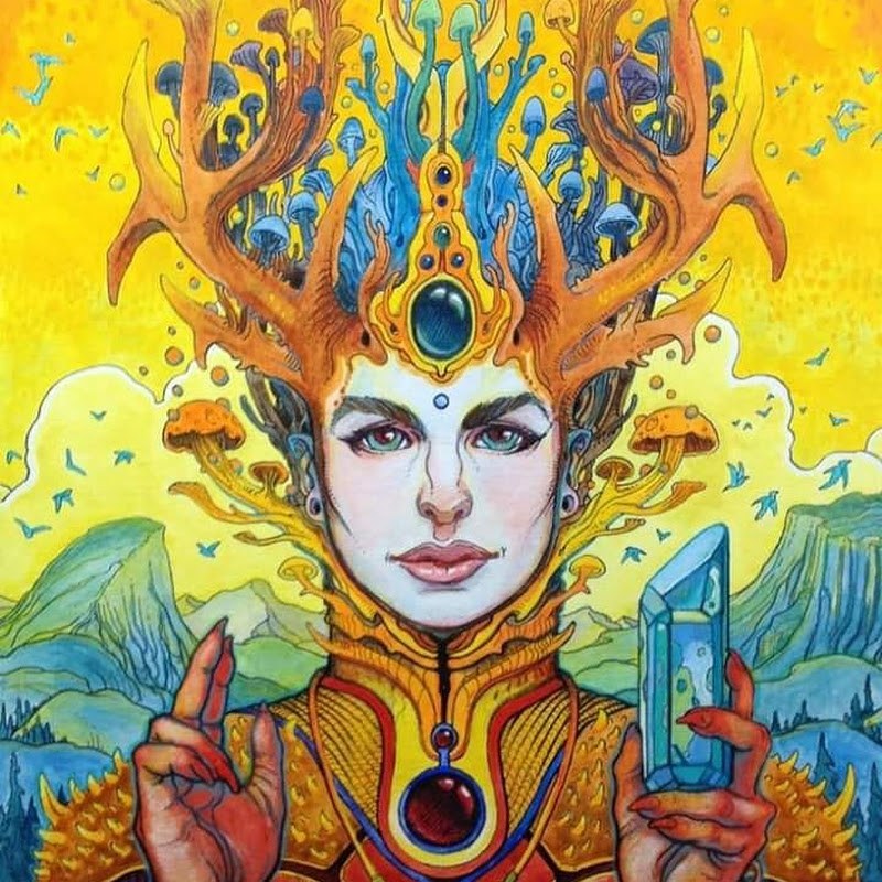 The Psychedelic Singularity