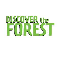 discovertheforest