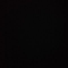 マリポーサマリポーサ