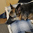 @couchdogtruth Avatar