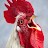 @mikehawk8247's avatar