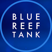 Blue Reef Tank