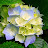@user-pi7no4vh3e