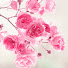 lhVBsIvNUt8-channel-avatar-Luvlessi