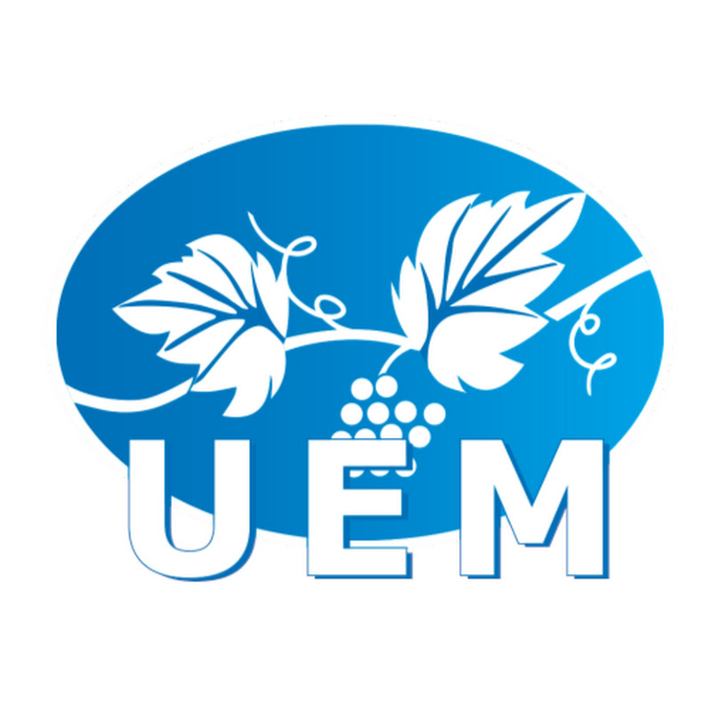 União Espírita Mineira