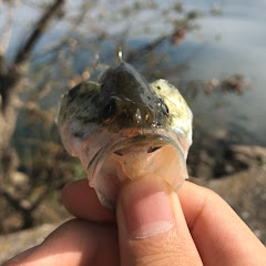 ゆとり世代