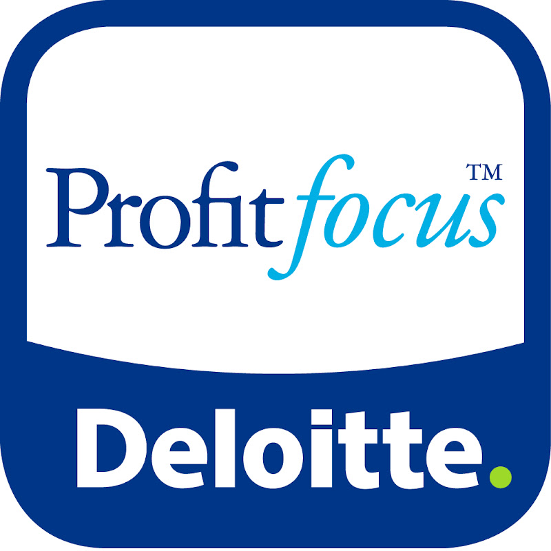 Deloitte Motor Industry Services