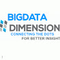 Bigdata Dimension Inc logo