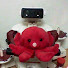 8cdvg5DDLfM-channel-avatar-octopuscal 428