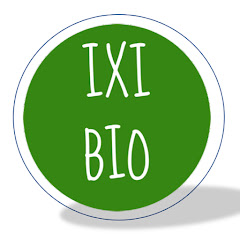 Ixis Crash-Kurs fürs Bio-Abi Avatar