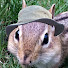 mkaylg0i4Uk-channel-avatar-Subariblet