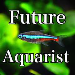 Future Aquarist フューイ
