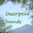 drjPjaXDVRI-channel-avatar-DescriptiveSounds
