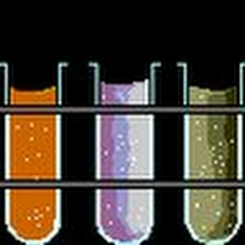 NutriUTube