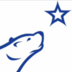 Логотип каналу Nelvana Polar Bear In The Youtube NAUTTP 2004