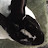 @tankarayvanderbooben1166 Avatar