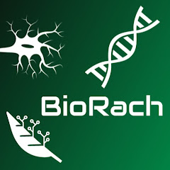 BioRach net worth