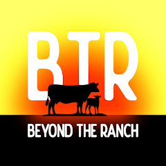 Beyond the Ranch Avatar