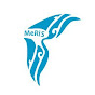 MeRiS Mediterraneo Ricerca e Sviluppo logo