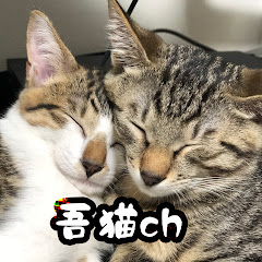 わがねこチャンネルアイコン画像