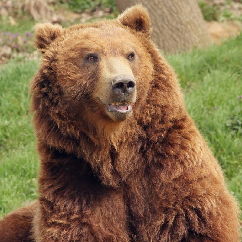 Zoo Děčín thumbnail