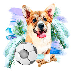 Corgi Terry Stories