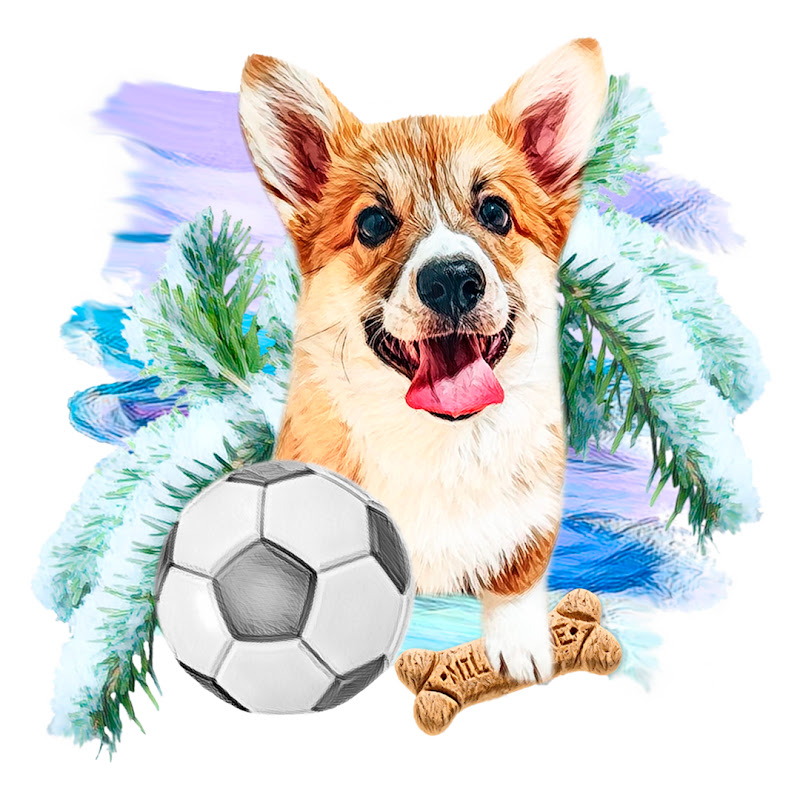 Corgi Terry Stories