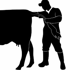 Veteriner Hekim Avatar