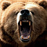 HLn7L9_0ca4-channel-avatar-CC Crazy Video's