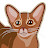Kotopurrs abyssinian cats