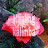 @healingkalimba5027