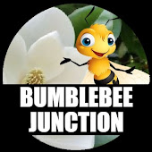 Bumblebee Junction