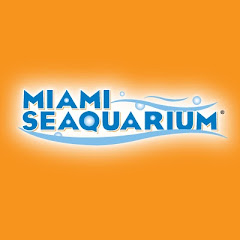 Miami Seaquarium Avatar
