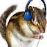 EyfEMHVSrL0-channel-avatar-Hampster Channel