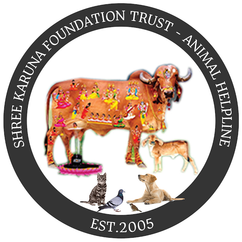 Karuna Foundation Trust - Animal Helpline Rajkot
