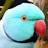 @fluffyparrot5469