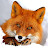 @-fox-alice-
