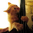 4yTyOeCCgWc-channel-avatar-Chris Fitzgerald