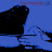 @boorwatermusic8537's avatar