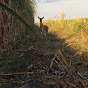 Hunting Florida Image Thumbnail