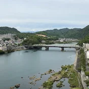 シルバーアロワナ