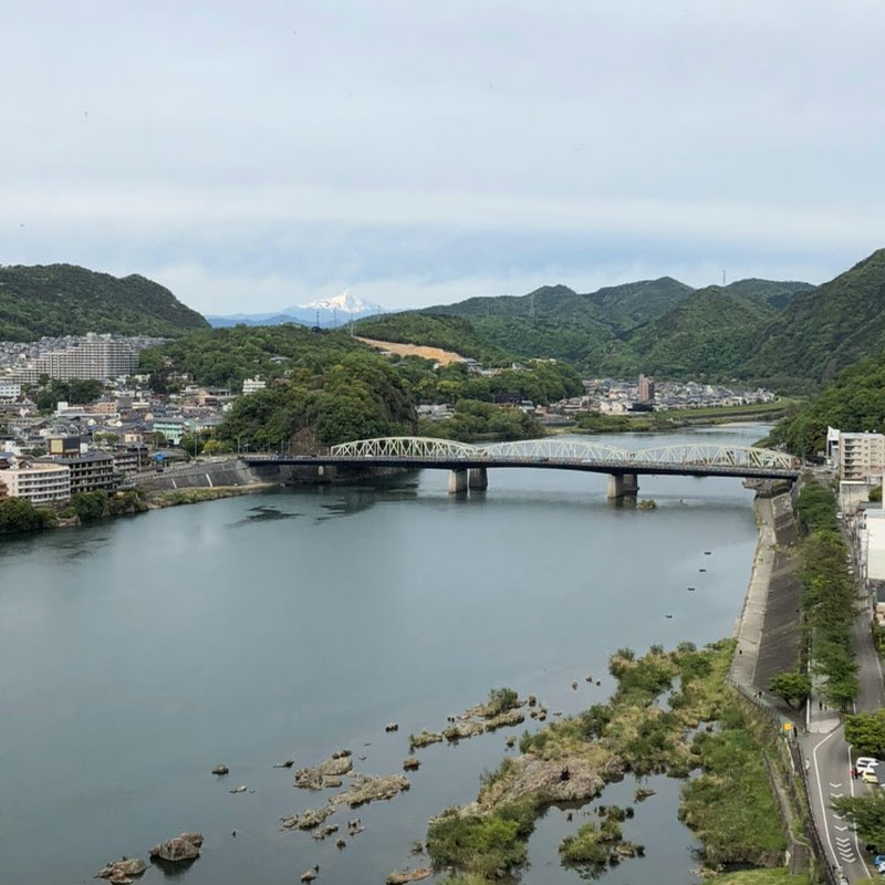 シルバーアロワナ